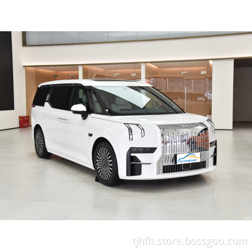 Zeekr 009 We 702km 4wd 6 Seat MPV Kenderaan Tenaga Baru Mewah Kereta Dewasa